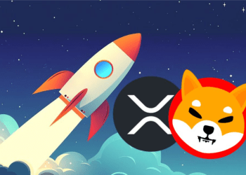 Looking Beyond SHIB and XRP? This Low-Cap Altcoin Could Turn $100 into $10,000 in This Bull Run!